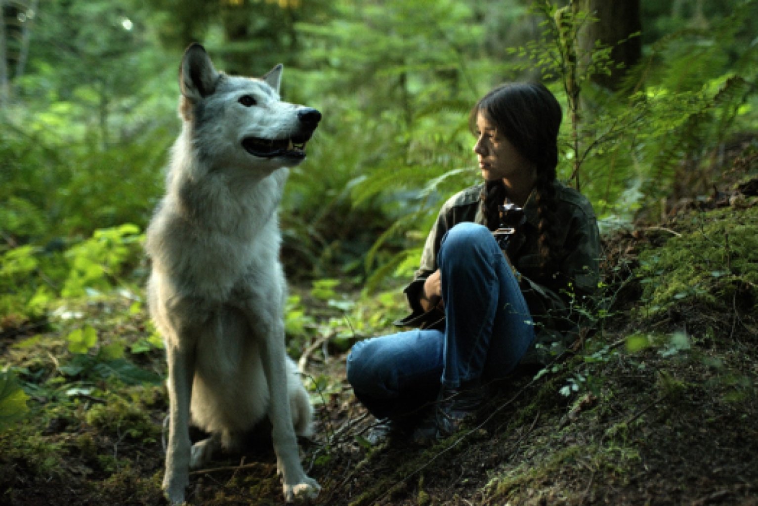 Shana, the wolf's music (1)