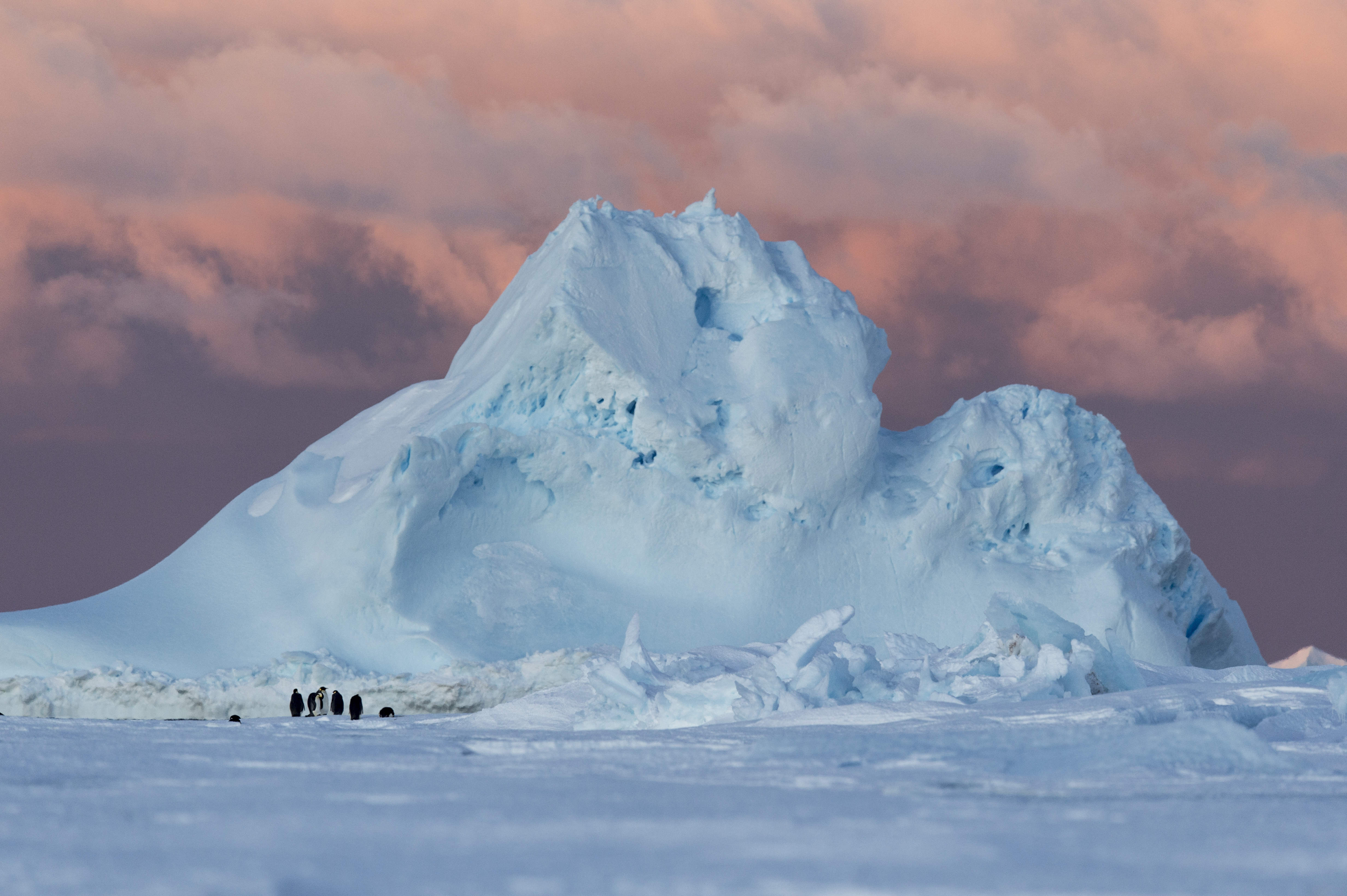 «Tα μυστικά της Ανταρκτικής» – Ένα ντοκιμαντέρ που κόβει την ανάσα στην ΕΡΤ1